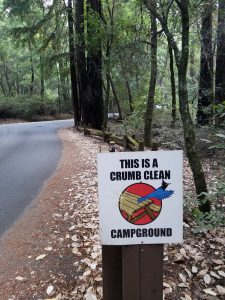 The Crumb Clean Campaign is an effort in Big Basin and all the other California State Parks to remind campers to pick up all their trash and every crumb of food, so jays and other potentially problematic critters won’t have access to human foods.