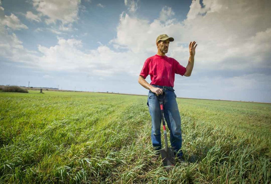 A man standing in a green grass field leaning on a shovel
